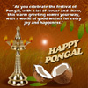 Bright&Colorful Pongal